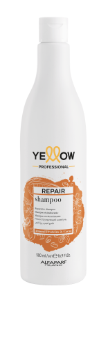 ye repair shampoo 500ml 2023