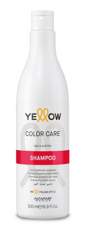 ye color care shampoo 500 ml